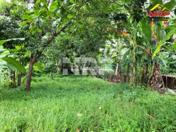 Dijual Tanah Siap Bangun di Kebalenan Banyuwangi