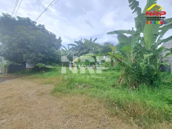 DIJUAL TANAH STRATEGIS KEBALENAN - BANYUWANGI
