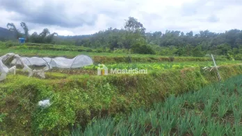 Jual Tanah