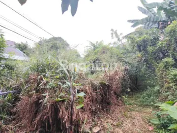 LAHAN DEKAT KAMPUS PAKUAN CIHEULEUT BOGOR
