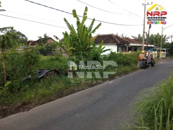 Sawah dijual di Blimbingsari Banyuwangi Dekat Pantai