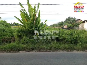Sawah dijual di Blimbingsari Banyuwangi Dekat Pantai
