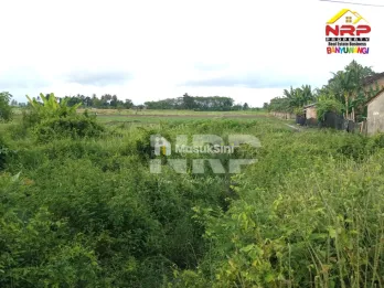 Sawah dijual di Blimbingsari Banyuwangi Dekat Pantai