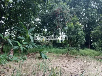 Sewa JL. PERMATA RAWA KALONG