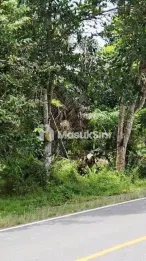 Tanah Dijual Poros Jalan Simpang Tuan Jambi