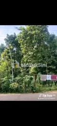 Tanah Pekarangan Murah Di Banjarnegara