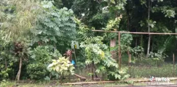tanah strategis jual murah cepat