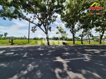 Dijual Tanah Luas Tepi Jalan Utama di Kabat Banyuwangi
