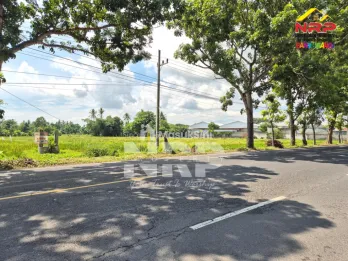 Dijual Tanah Luas Tepi Jalan Utama di Kabat Banyuwangi