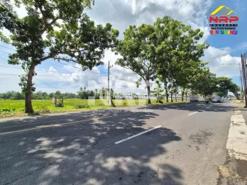 Dijual Tanah Luas Tepi Jalan Utama di Kabat Banyuwangi