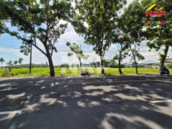 Dijual Tanah Luas Tepi Jalan Utama di Kabat Banyuwangi