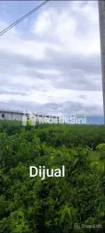 DIJUAL TANAH MBAMBAN PAKIS