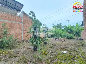 Dijual Tanah Murah 100 Jutaan di Dadapan Banyuwangi &ndash; SHM, Lokasi Strategis