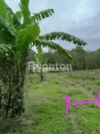 LAHAN AREA BISNIS INDUSTRI*Lokasi : DESA SUMBERSIH , KEC. PANGGUNGREJ