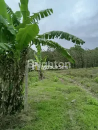 LAHAN AREA BISNIS INDUSTRI*Lokasi : DESA SUMBERSIH , KEC. PANGGUNGREJ