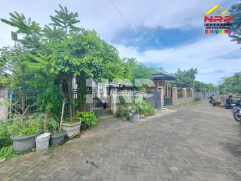 Rumah Strategis Depan Kampus FIKKIA UNAIR Banyuwangi &ndash; Cocok untuk Investas
