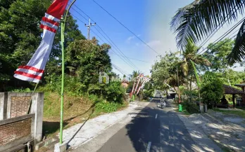 Tanah Dijual di Desa Kemiren Banyuwangi