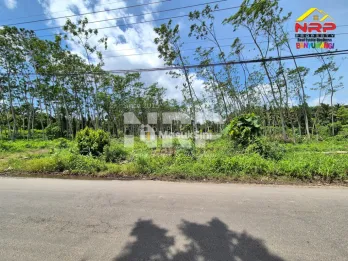 Tanah Murah Dijual 3 Hektar di Pakistaji Banyuwangi – SHM, Lokasi Strategis