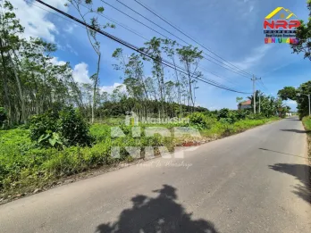 Tanah Murah Dijual 3 Hektar di Pakistaji Banyuwangi &ndash; SHM, Lokasi Strategis