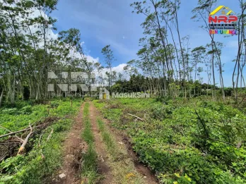 Tanah Murah Dijual 3 Hektar di Pakistaji Banyuwangi &ndash; SHM, Lokasi Strategis