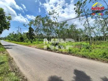 Tanah Murah Dijual 3 Hektar di Pakistaji Banyuwangi &ndash; SHM, Lokasi Strategis