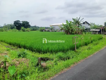 tanah sawah shm