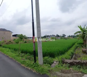 tanah sawah shm