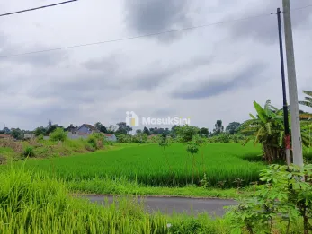 tanah sawah shm
