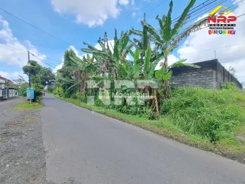Dijual Gudang Di Mangir Rogojampi - Banyuwangi