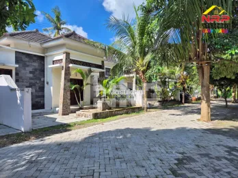 Dijual Rumah Primary Siap Huni di - Dadapan Banyuwangi