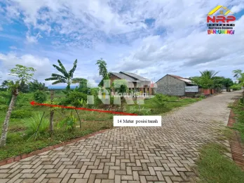 Dijual Tanah 100 rb an per meter - Banyuwangi