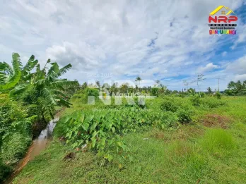 Dijual Tanah 100 rb an per meter - Banyuwangi