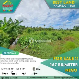 Dijual Tanah 100 rb an per meter - Banyuwangi
