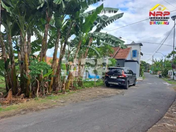 Dijual Tanah Hook di Banyuwangi Kota