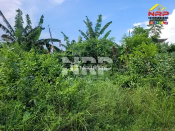 Dijual Tanah Kavling Siap Bangun di Singotrunan Banyuwangi