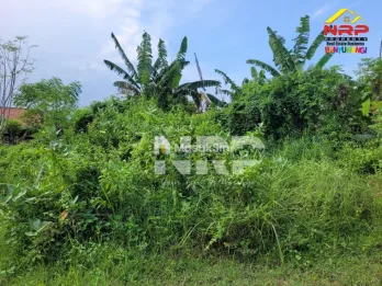 Dijual Tanah Kavling Siap Bangun di Singotrunan Banyuwangi
