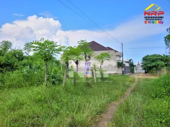 Dijual Tanah Kavling Siap Bangun di Singotrunan Banyuwangi
