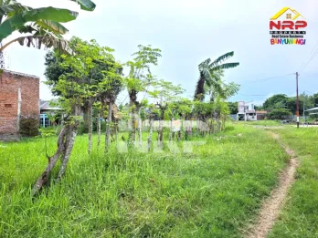 Dijual Tanah Kavling Siap Huni di Singotrunan Banyuwangi