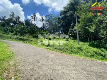 Dijual Tanah Kebun Akses Jalan Mobil View Terasering - Glagah Banyuwangi