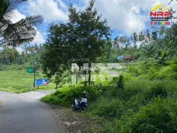 Dijual Tanah Kebun Akses Jalan Mobil View Terasering - Glagah Banyuwangi