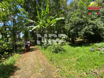 Dijual Tanah Kebun di Jelun - Glagah Banyuwangi