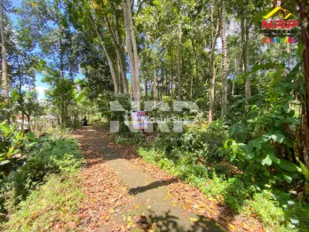 Dijual Tanah Kebun di Jelun - Glagah Banyuwangi