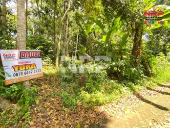 Dijual Tanah Kebun di Jelun - Glagah Banyuwangi
