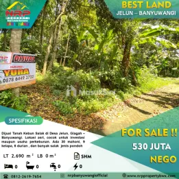 Dijual Tanah Kebun di Jelun - Glagah Banyuwangi