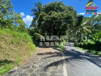 Dijual Tanah Kebun Tepi Jalan Licin - Banyuwangi