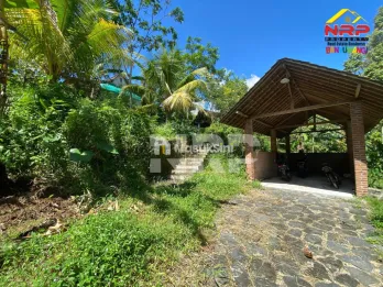 Dijual Tanah Kebun Tepi Jalan Licin - Banyuwangi