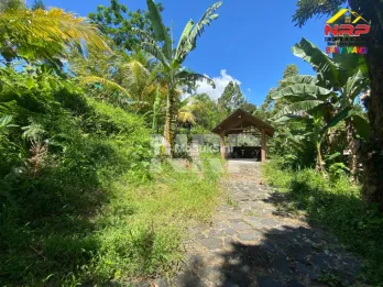 Dijual Tanah Kebun Tepi Jalan Licin - Banyuwangi