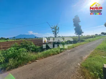 Dijual Tanah Murah Akses Jl Aspal di Wongsorejo Banyuwangi