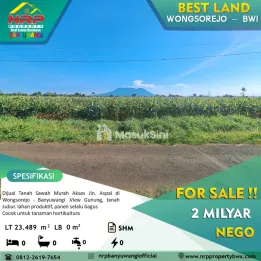 Dijual Tanah Murah Akses Jl Aspal di Wongsorejo Banyuwangi