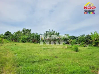 Dijual Tanah Murah di Singotrunan - Banyuwangi
